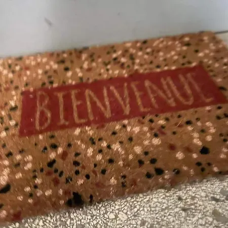 Apartamento Chez Frederic - Gare De A 2 Minutes A Pied - Entierement Equipe Metz